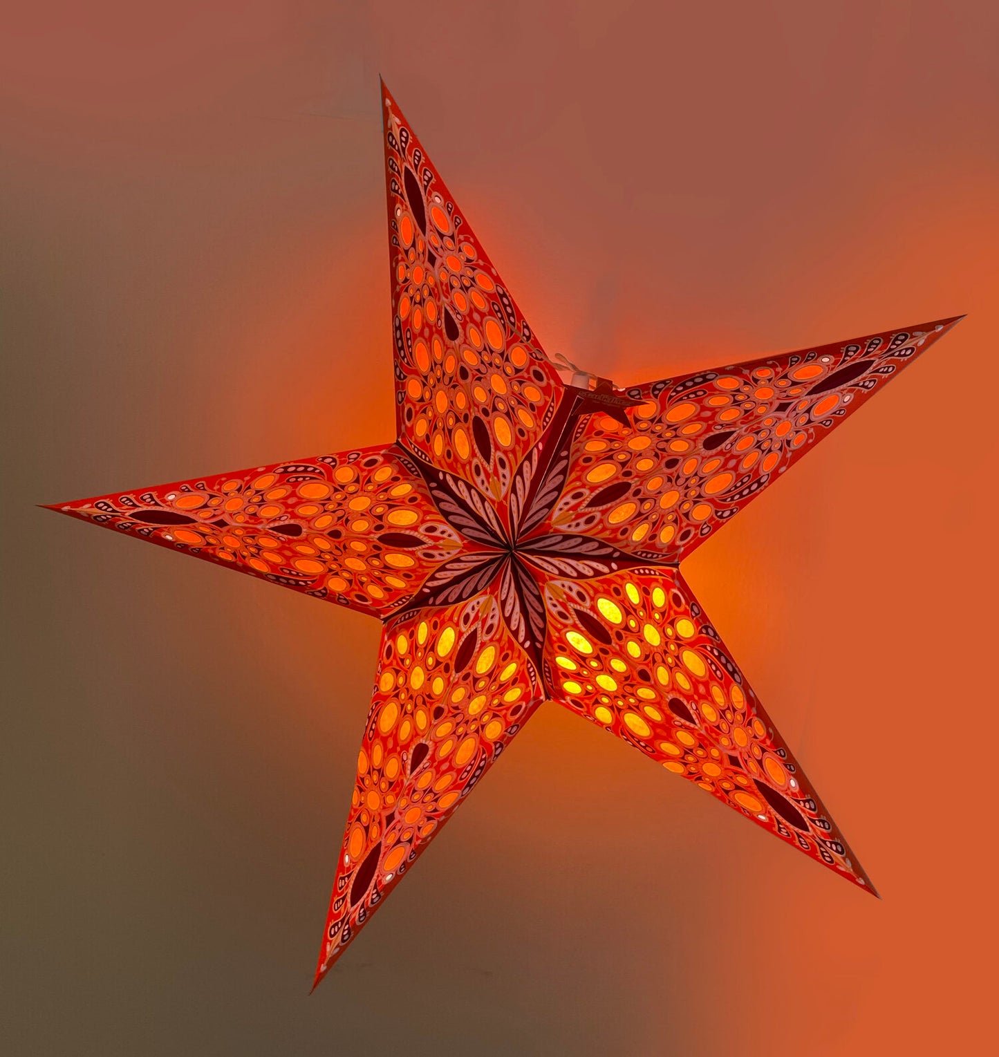Festival Orange (wholesale)